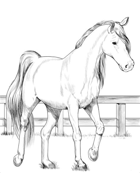 Realistic Horse Coloring Pages Example 4