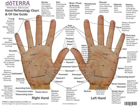 Printable Reflexology Hand Chart