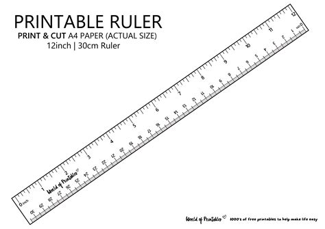 Printable Ruler Paper