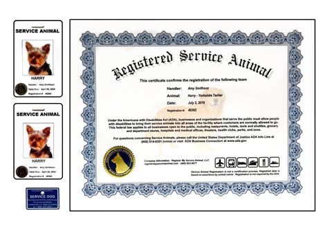 Printable Service Dog Certification Template Example 8