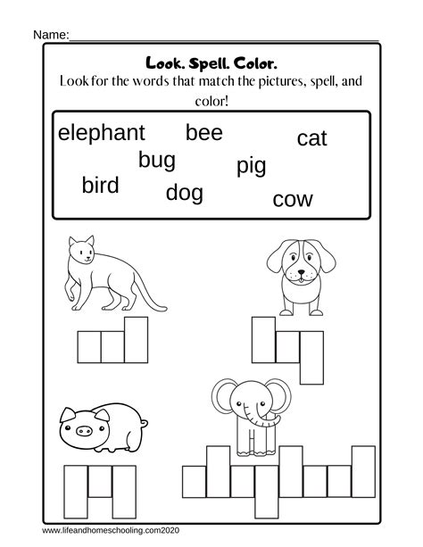 Printable Spelling Worksheets for Children