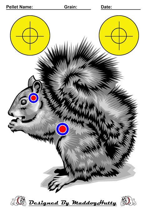 Printable Squirrel Targets For Shooting Practice