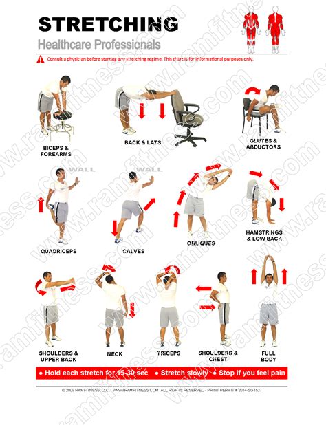 Printable Stretching Exercises for Seniors