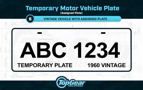 Printable Temporary License Plate Sample