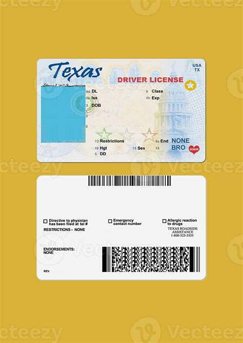 Printable Texas Driver's License Template 8