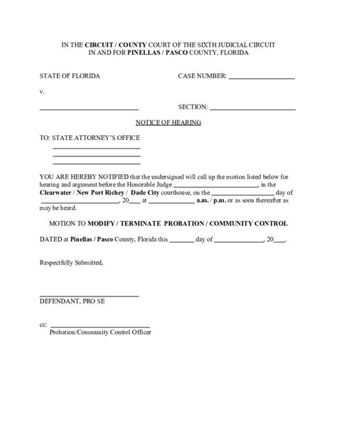 Probation Termination Form