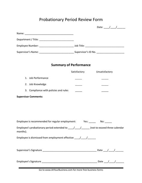 Probationary Period Review Form