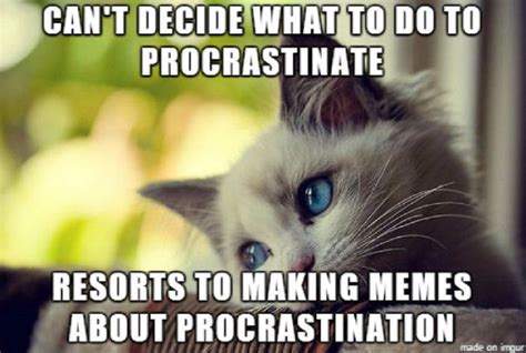 Procrastination Meme