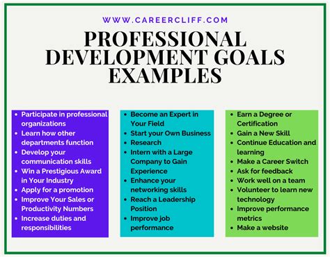 Professional Development Goals