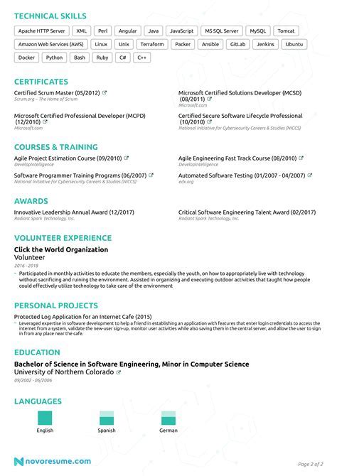 Professional Engineer Resume Template Example