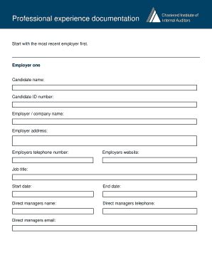 Professional Experience Documentation