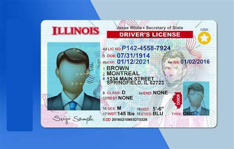 Hiring Professional Graphic Design Services for Illinois Driver's License Template Psd