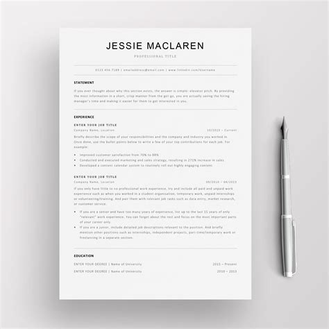 Professional Resume Template