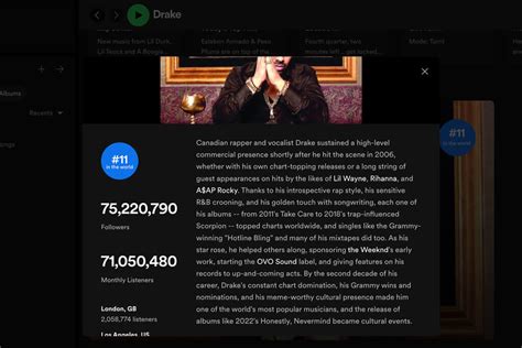 Professional Spotify Bio Example