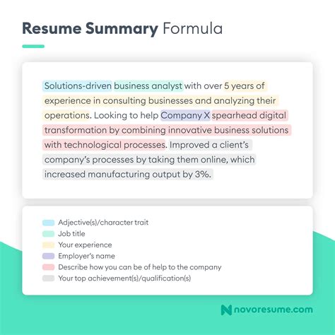 Professional Summary Section Example