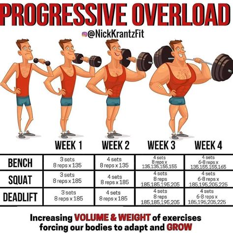 Description of progressive overload for muscle growth