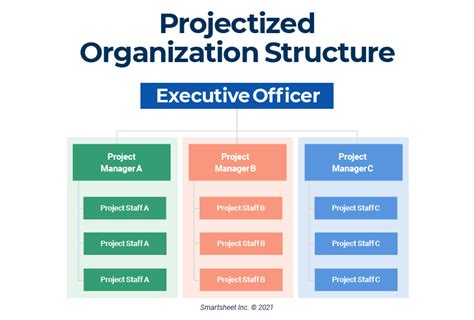 Project-Based Organization