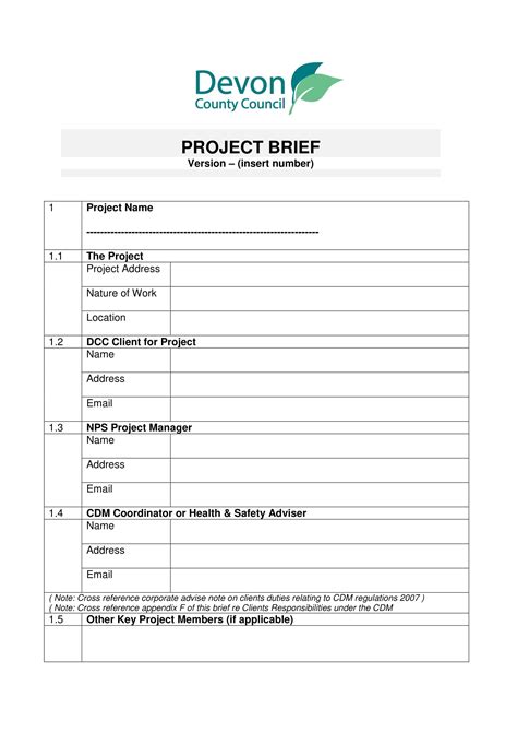 Project Brief Template Example