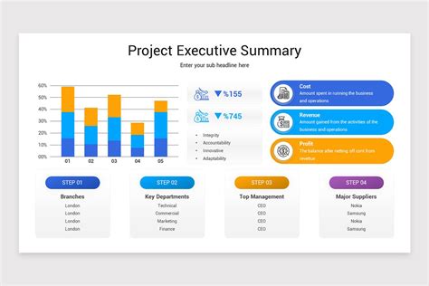 Project Executive Summary Template PPT Image 1