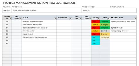 Project Management Action Item Template