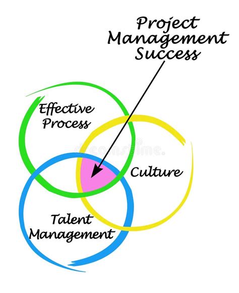 Project Management Success