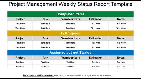 Project Management Weekly Status Report Image