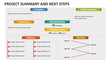 Project Next Steps