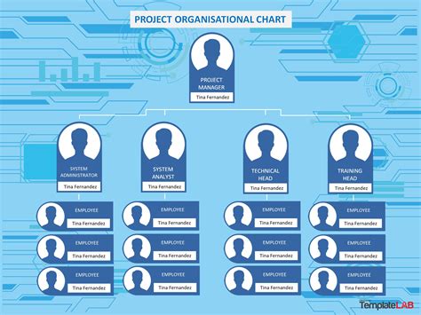 Project Organization Chart Examples