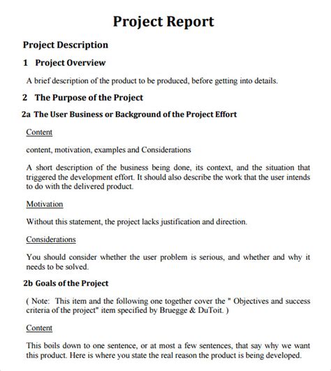 Project Report Template