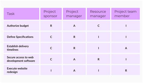 Project Responsibilities Template Example