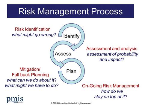 Project Risk Management Example