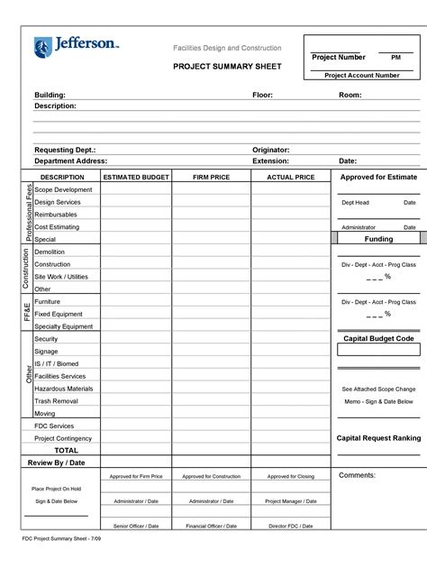 Project Summary Template Sample 10