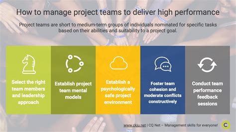 Project Team Performance