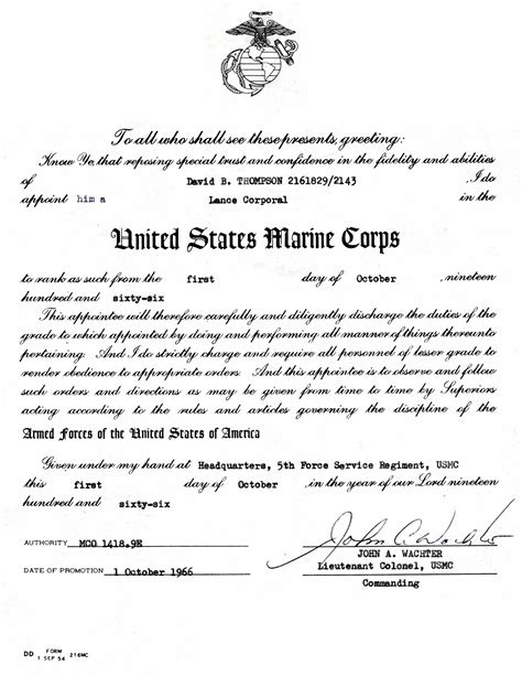 Promotion Warrant Template Example 5