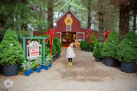 ПропHooks Prop Show and Christmas Tree Farm