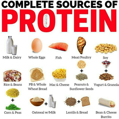 Protein foods