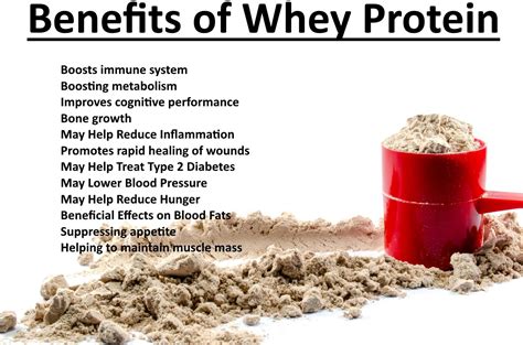 Protein Powder Benefits