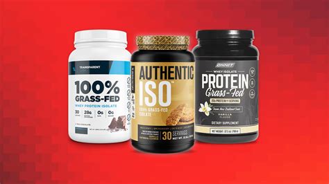 Protein Powder Supplements for Muscle Gain