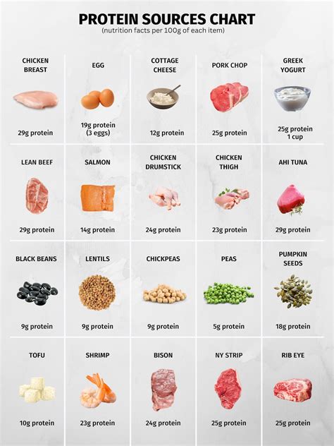 Protein-Rich Food Options