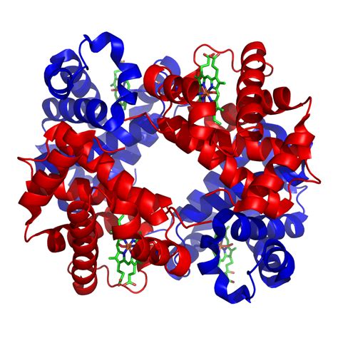 Protein Structure