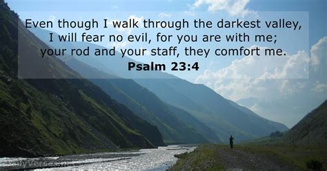 Psalm 23 Verse 4 Image