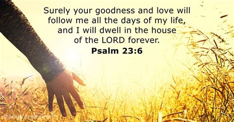 Psalm 23 Verse 6 Image