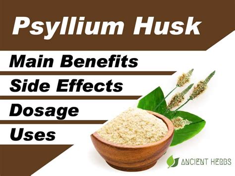 Psyllium interactions