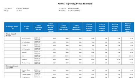 PTO Accrual Report