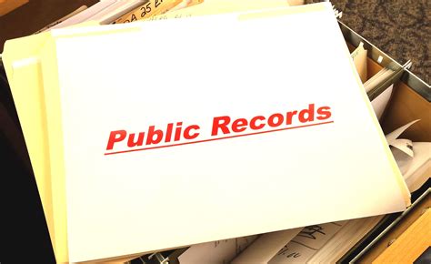 Utilize Public Records and Government Databases