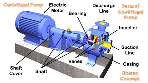 Components of a pump