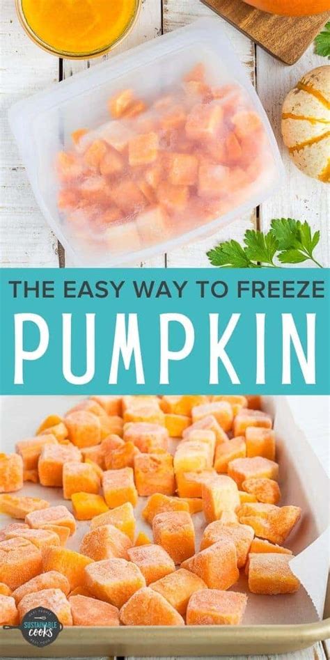 Pumpkin Freezing Instructions