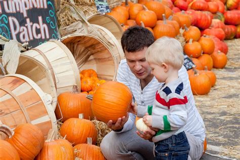 Pumpkin Patch Activity