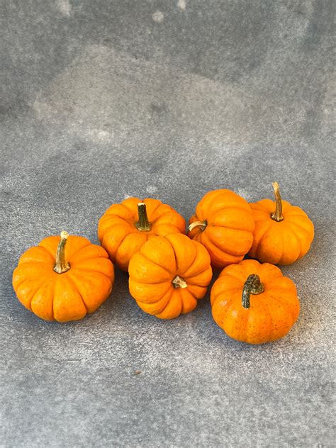 A basket of pumpkins at a farmers market