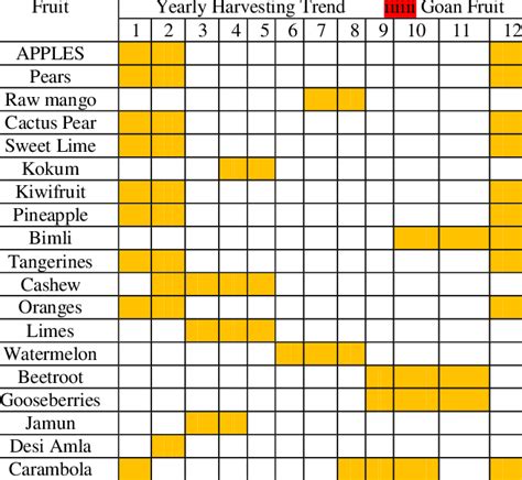 Pumpkin Seasonal Availability